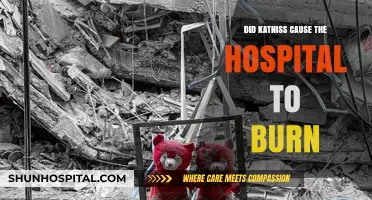 Katniss' Actions: The Hospital Inferno