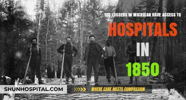 1850 Michigan Loggers: Hospital Access in the Early Logging Era