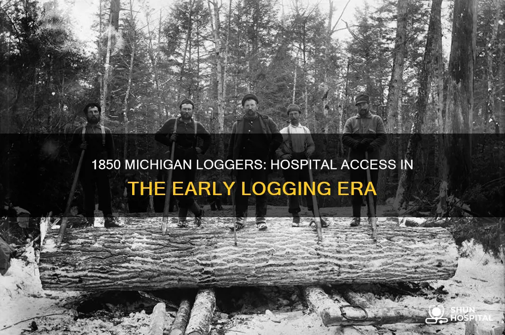 did loggers in michigan have access to hospitals in 1850