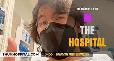 Markiplier's Health Scare: Separating Fact from Fiction