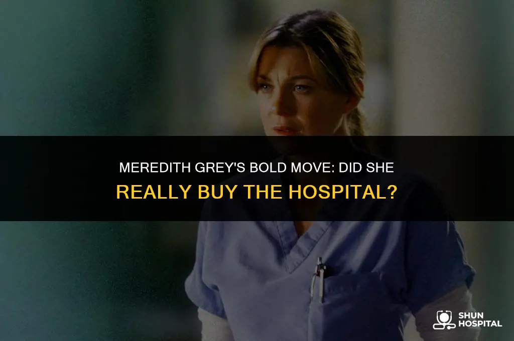 did meredith grey buy the hospital