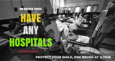 Mother Teresa's Legacy: A Closer Look at Her Medical Institutions