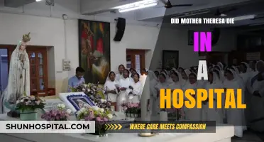 Mother Theresa's Final Days: Where Did She Spend Them?