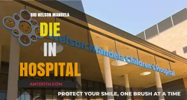 The Final Days of a Legend: Nelson Mandela's Hospital Stay