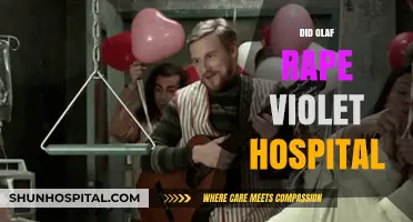 Olaf and Violet Hospital Scene: Rape Allegations Examined