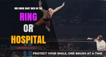 Owen Hart's Tragic Death: Ring or Hospital - The Truth Revealed