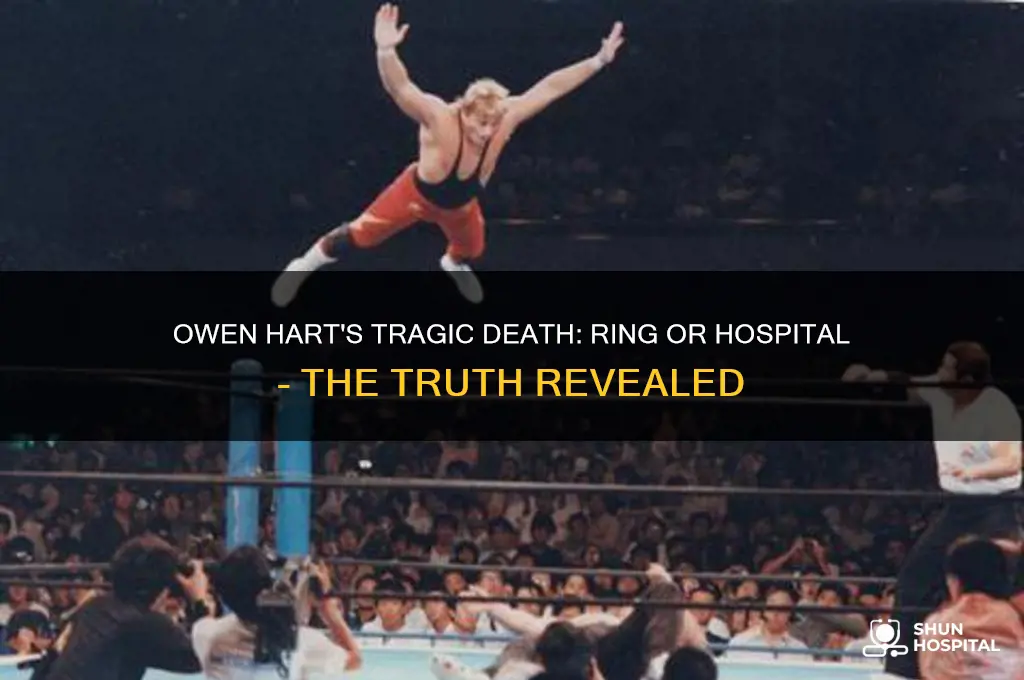 did owen hart died in the ring or hospital