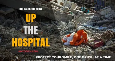 Did Palestine Blow Up the Hospital? Unraveling the Facts