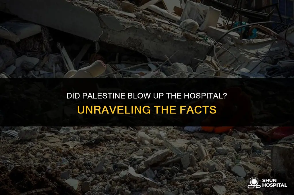 did palestine blow up the hospital