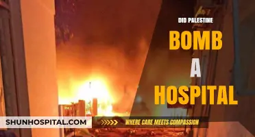 Unraveling the Truth: Did Palestine Bomb a Hospital?