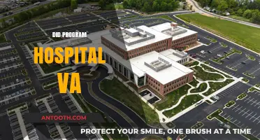 Exploring the VA Hospital Program: Benefits, Challenges, and Impact