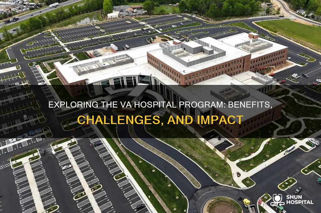 did program hospital va