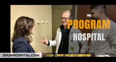 Did Program Hospital Improve Patient Care and Operational Efficiency?