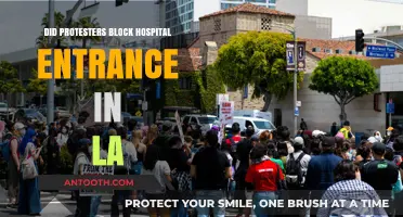 Protesters Block LA Hospital Entrance: Who Was Affected?