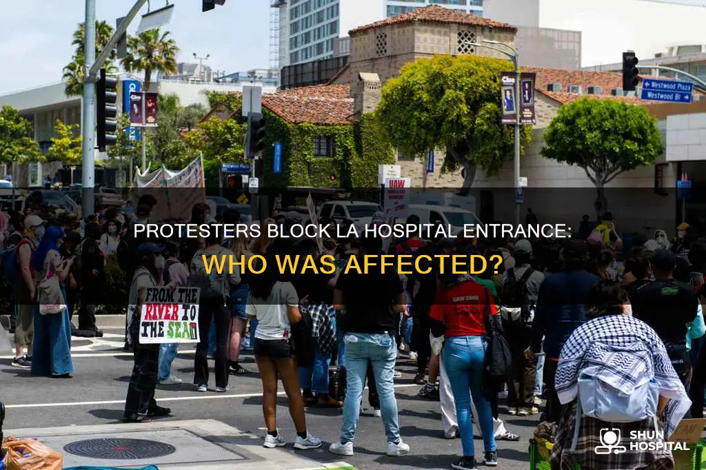 did protesters block hospital entrance in la