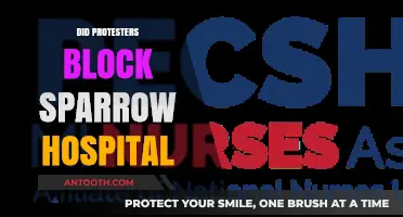 Protesters Block Sparrow Hospital: Fact-Checking the Lansing Demonstration
