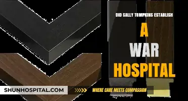 Sally Tompkins: War Hospital Pioneer
