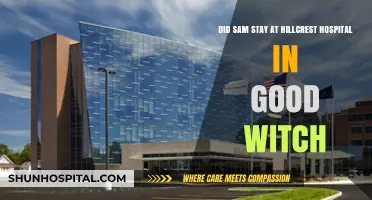 Good Witch: Sam's Stay at Hillcrest Hospital Explored