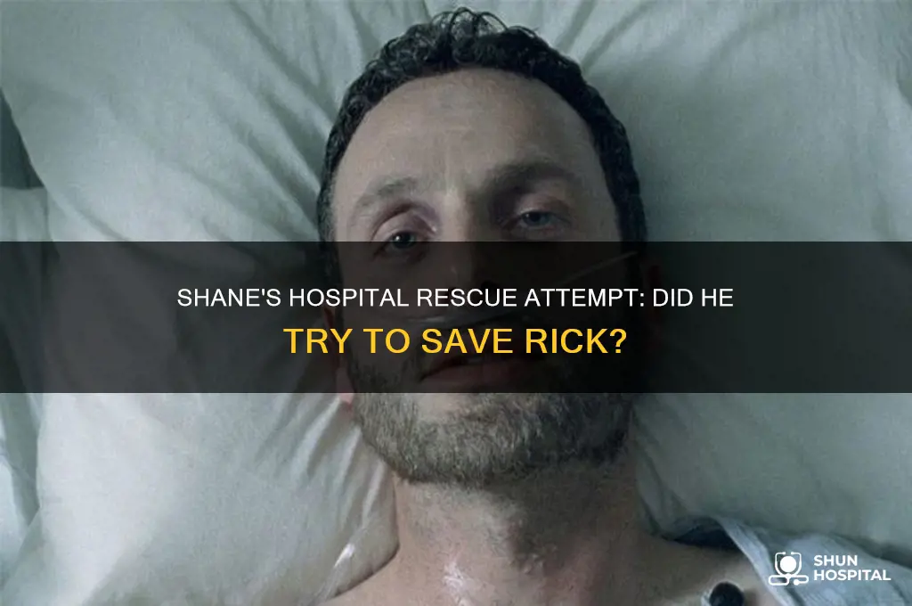 did shane try to rescue rick at the hospital