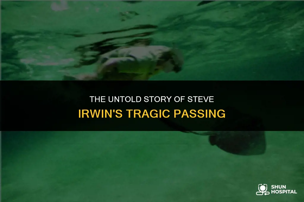 did steve irwin die in hospital