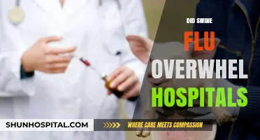 Swine Flu Surge: Did Hospitals Face Overwhelming Patient Influx?
