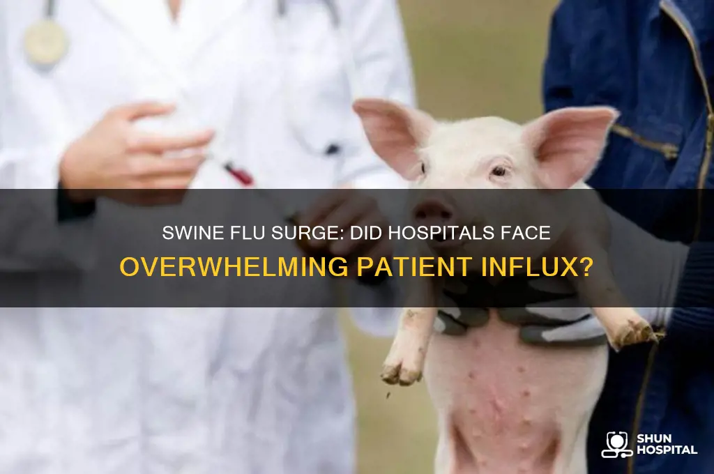 did swine flu overwhelm hospitals