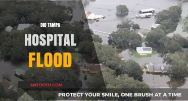 Tampa Hospital Flood: Uncovering the Truth Behind the Rumors