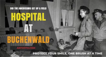 American Field Hospital at Buchenwald: Fact or Fiction?