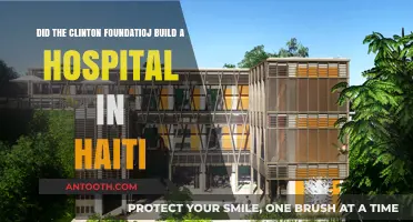 Clinton Foundation's Haiti Hospital: Fact-Checking the Claims and Impact