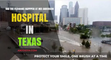 Did MD Anderson Hospital in Texas Experience Flooding? Facts Revealed