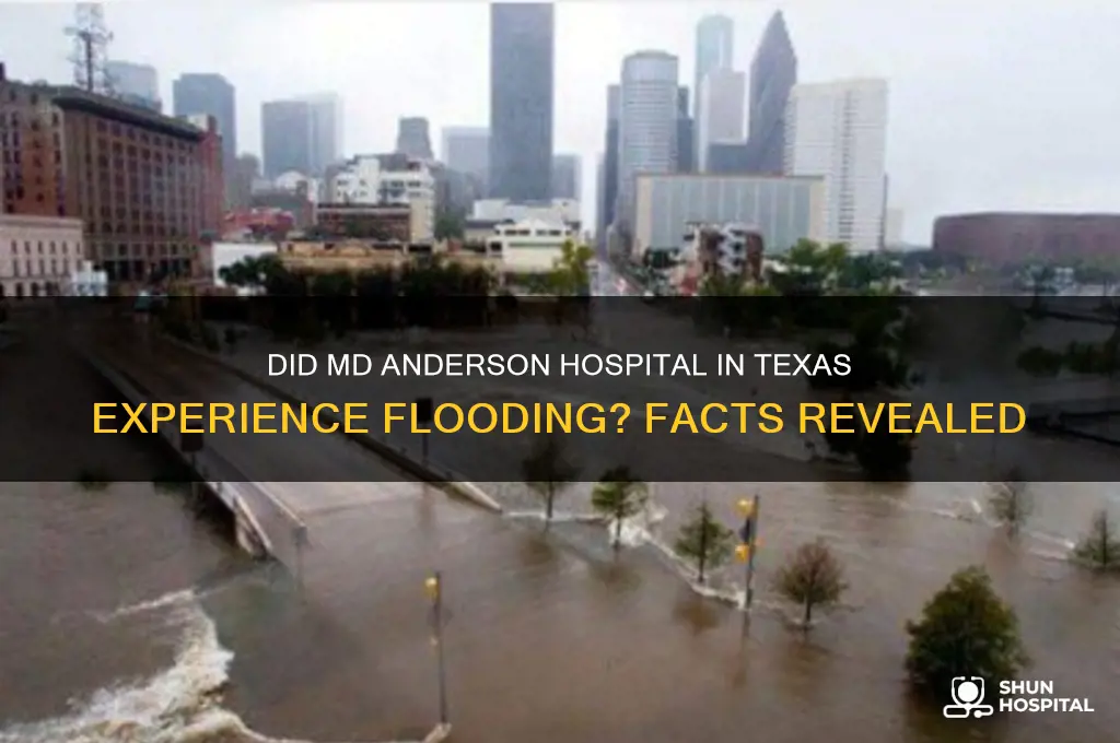 did the flooding happpen at md anderson hospital in texas