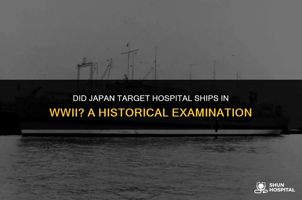 did the japanese bomb hospitals ships