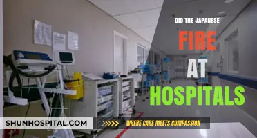 Did Japanese Forces Target Hospitals During Wartime?