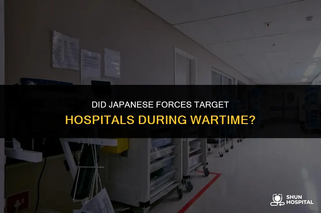 did the japanese fire at hospitals