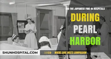 Pearl Harbor Hospitals: Did Japanese Forces Fire on Medical Facilities?
