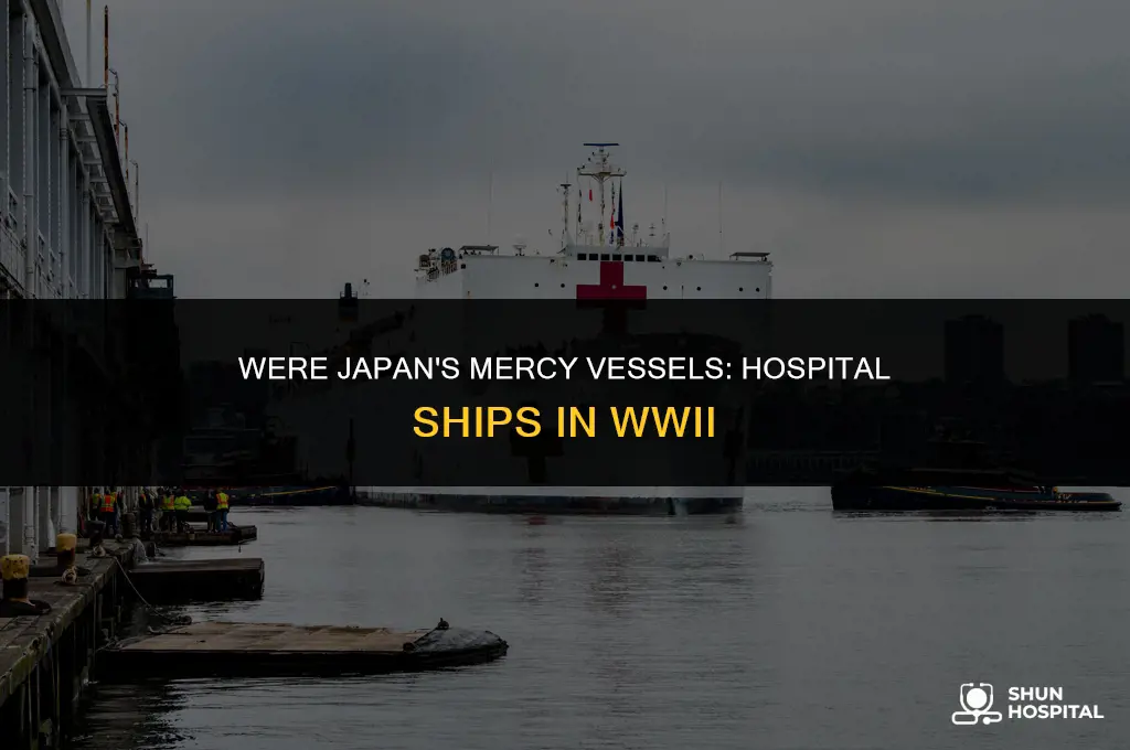 did the japanese have hospital ships