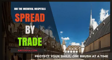 Medieval Hospitals: Trade's Unseen Impact