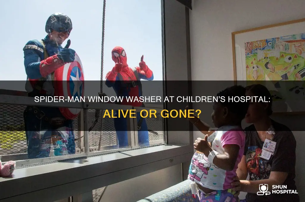 did the spiderman windowwasher at the childrens hospital die