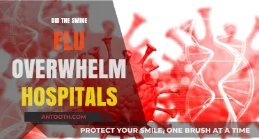 Did the Swine Flu Overwhelm Hospitals: A Retrospective Analysis