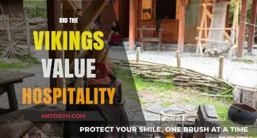 Viking Hospitality: A Cultural Value Beyond Raids and Conquests