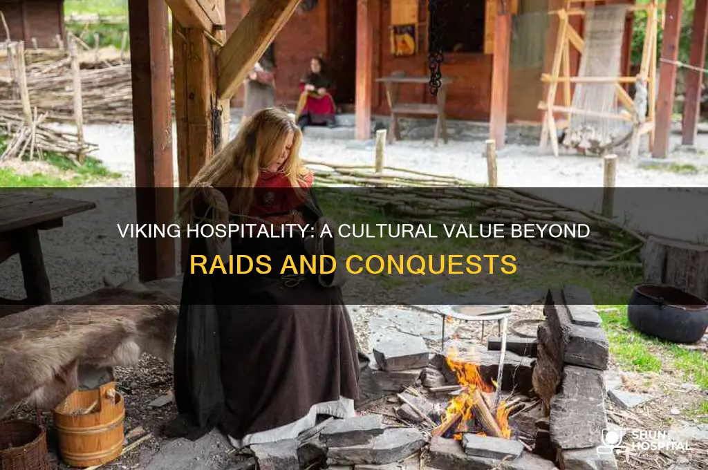 did the vikings value hospitality