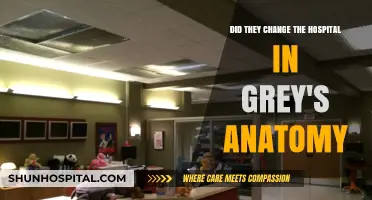 Grey's Anatomy Hospital Switch: Unraveling the Set Changes and Why