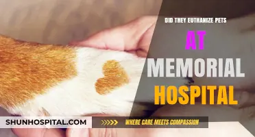 The Memorial Hospital's Pet Euthanasia Policy Explained