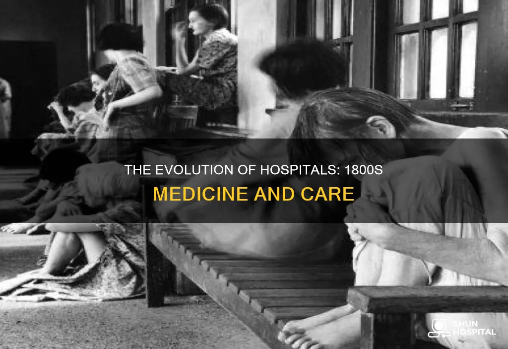 did they have hospitals in the 1800s