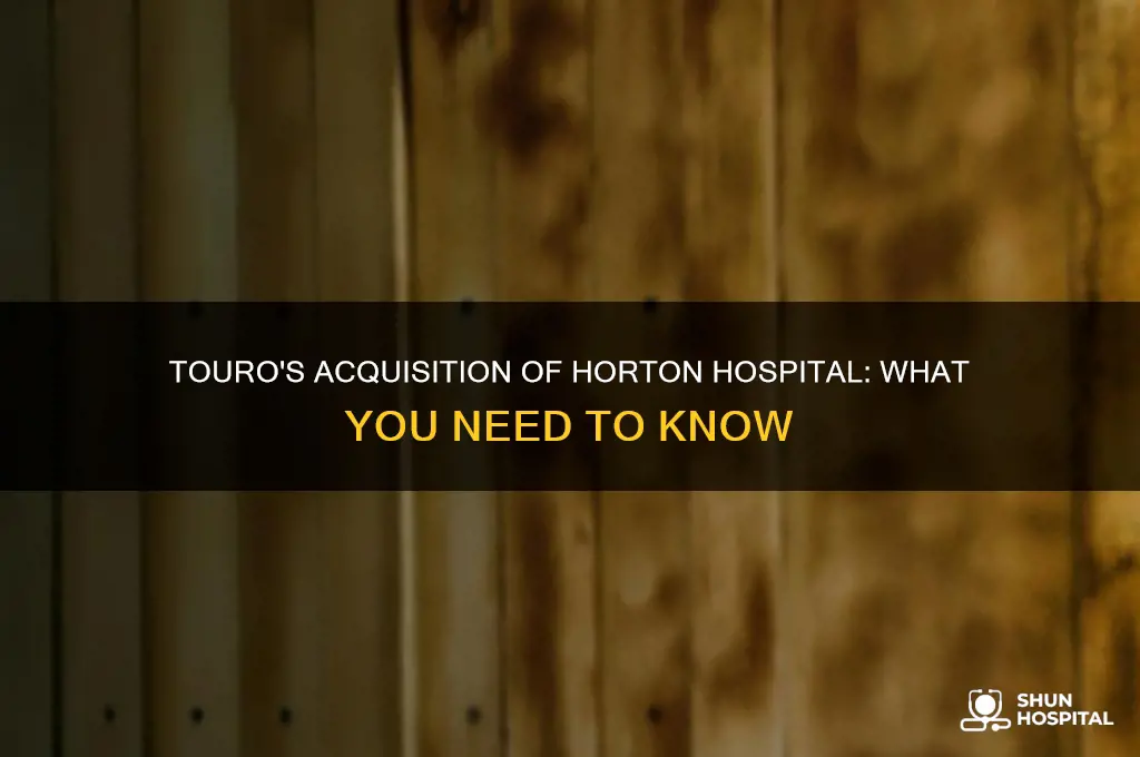 did touro buy horton hospital