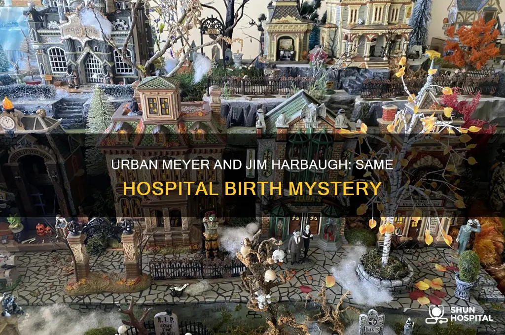 did urban meyer and jim harbaugh born in same hospital