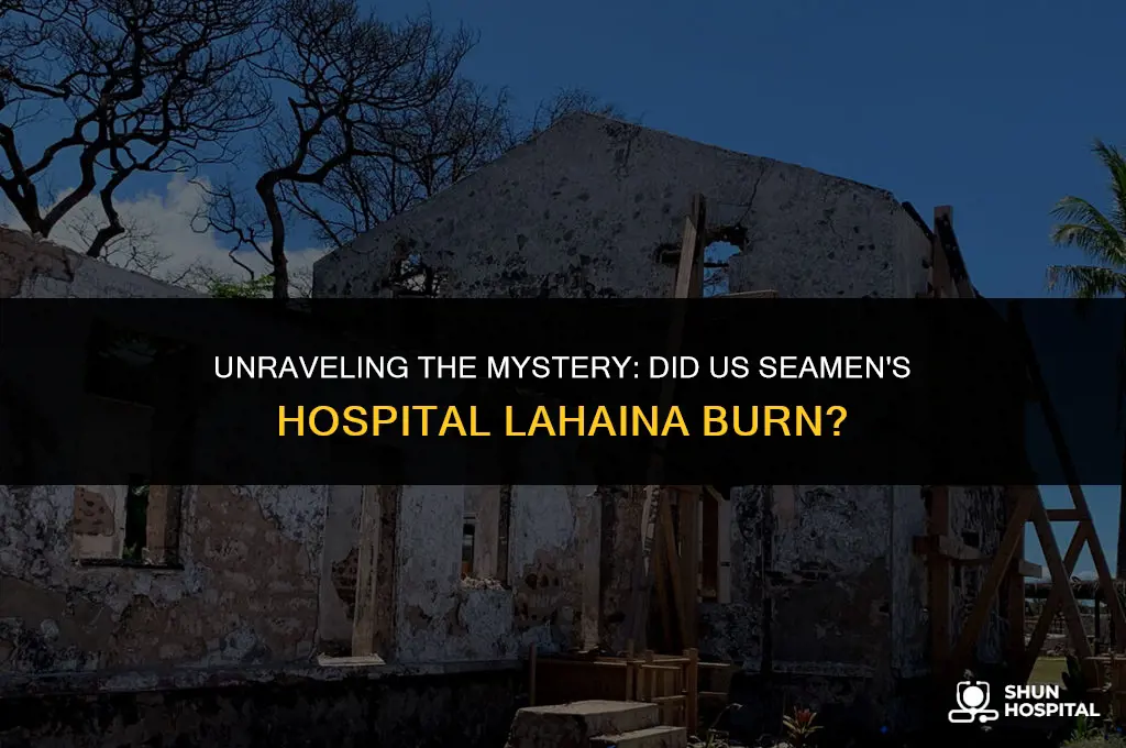 did us seamans hospital lahiana burn