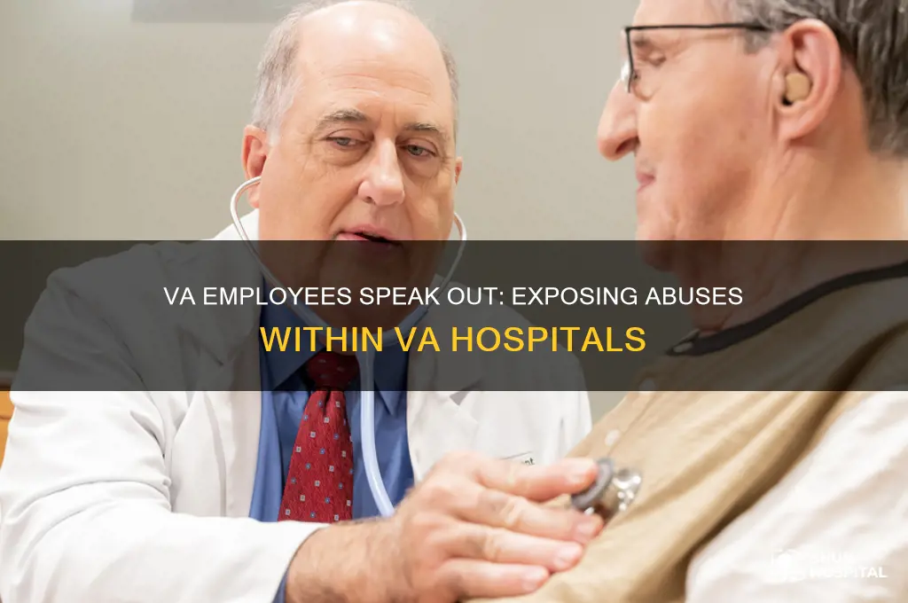 did va employees expose abuses within the va hospitals