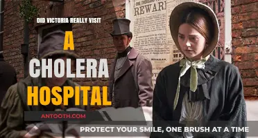 Victoria's Cholera Hospital Visit: Fact or Fiction?