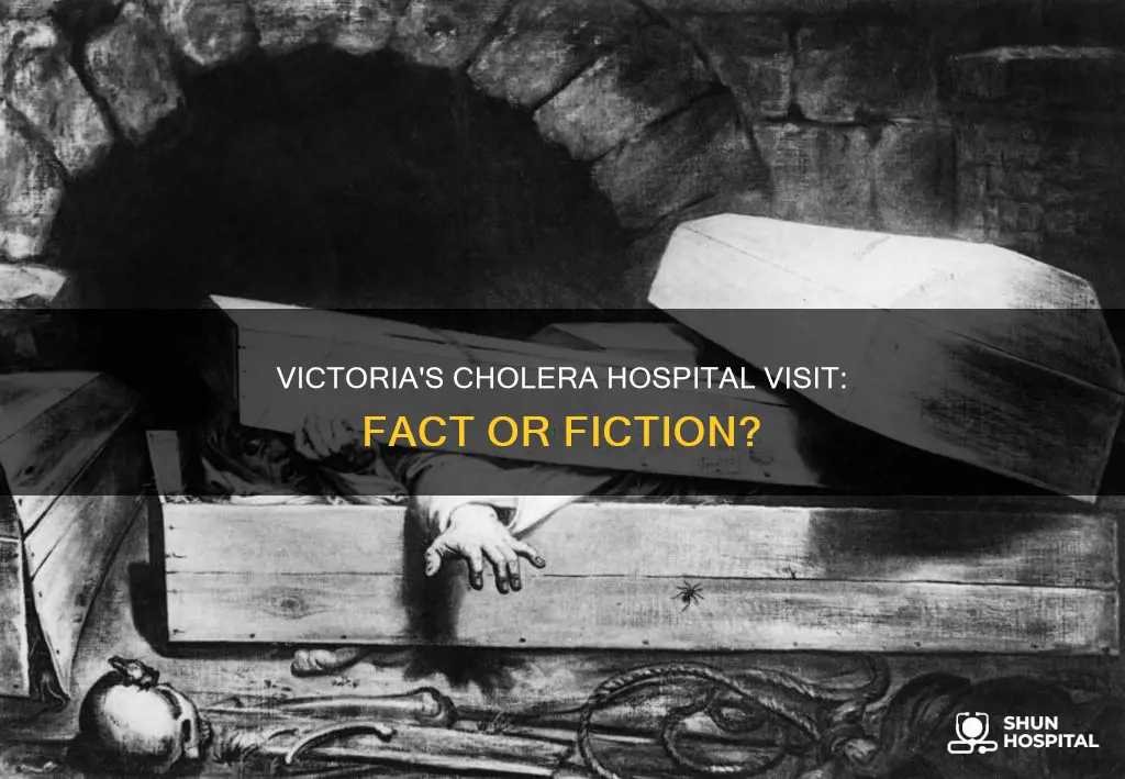 did victoria really visit a cholera hospital